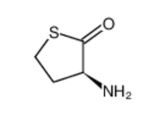 Picture of L-homocysteine thiolactone