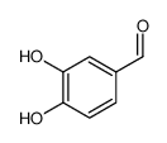 Picture of 3,4-dihydroxybenzaldehyde
