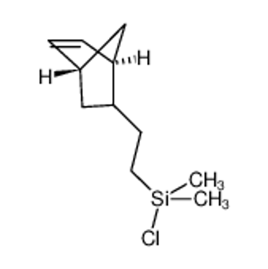 Picture of 5-NORBORNEN-2-YL(ETHYL)CHLORODIMETHYLSILANE