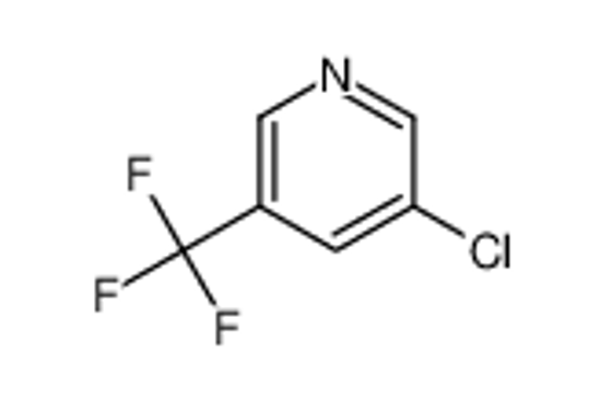 Picture of 3-Chloro-5-(trifluoromethyl)pyridine