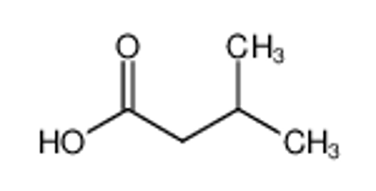 Picture of isovaleric acid