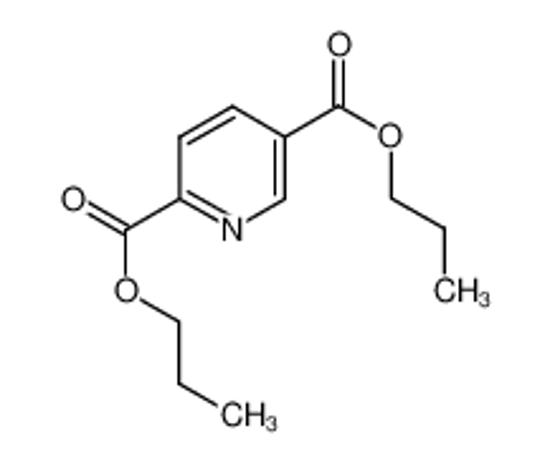 Picture of quyingding