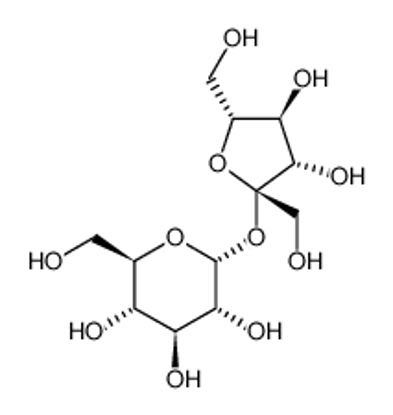 Show details for sucrose