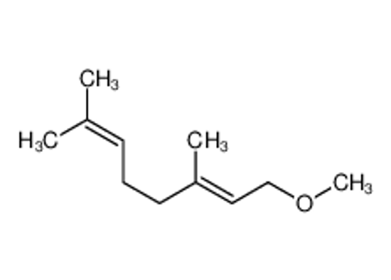Picture of (2E)-1-Methoxy-3,7-dimethyl-2,6-octadiene