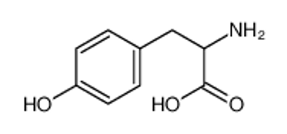 Picture of (.+-.)-Tyrosine