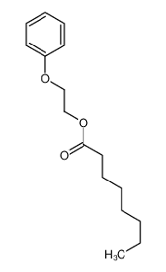 Picture of 2-phenoxyethyl octanoate