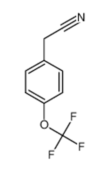 Picture of 4-(TRIFLUOROMETHOXY)PHENYLACETONITRILE