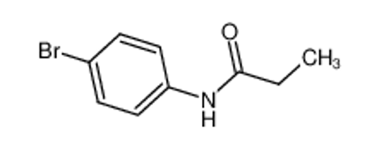 Picture of N-(4-bromophenyl)propanamide