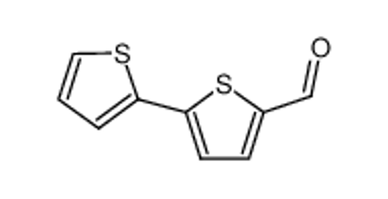 Picture of 2,2'-BITHIOPHENE-5-CARBOXALDEHYDE