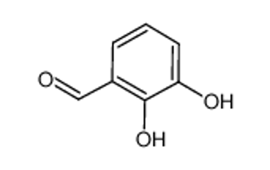 Picture of 2,3-dihydroxybenzaldehyde
