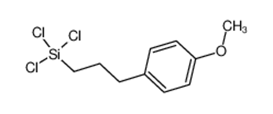Picture of 3-(P-METHOXYPHENYL)PROPYLTRICHLOROSILANE