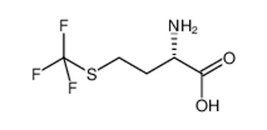 Picture of (2S)-2-amino-4-(trifluoromethylsulfanyl)butanoic acid