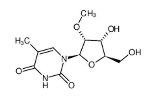 Picture of 2'-O-methyl-5-methyluridine