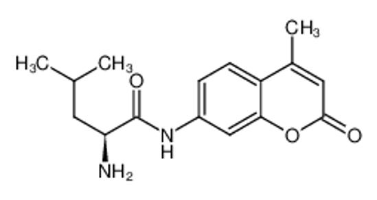 Picture of (2S)-2-amino-4-methyl-N-(4-methyl-2-oxochromen-7-yl)pentanamide
