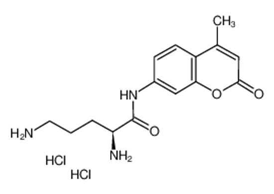 Picture of (2S)-2,5-diamino-N-(4-methyl-2-oxochromen-7-yl)pentanamide,dihydrochloride