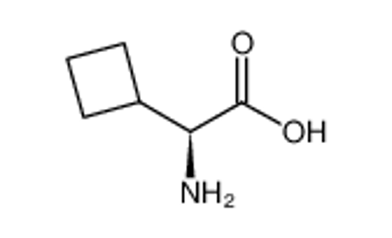 Picture of (2S)-2-amino-2-cyclobutylacetic acid