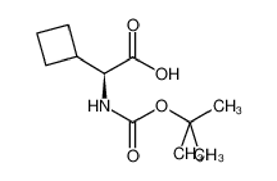 Picture of (S)-2-((tert-Butoxycarbonyl)amino)-2-cyclobutylacetic acid