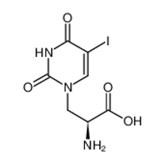 Picture of (2S)-2-amino-3-(5-iodo-2,4-dioxopyrimidin-1-yl)propanoic acid