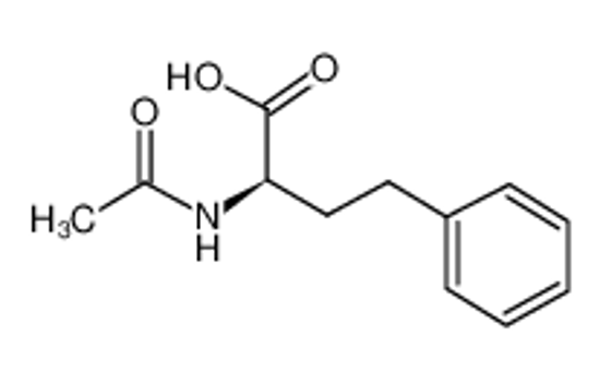 Picture of (2R)-2-acetamido-4-phenylbutanoic acid