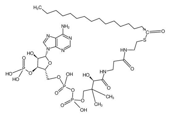 Picture of PALMITOYL COENZYME A, [PALMITOYL-1-14C]