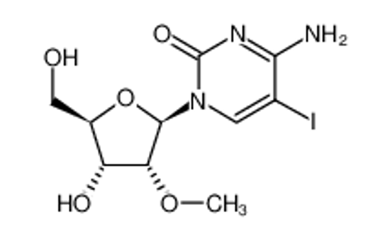 Picture of 5-IODO-2'-O-METHYLCYTIDINE