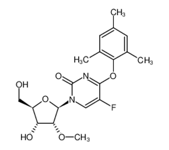 Picture of 5-FLUORO-O4-(2,4,6-TRIMETHYLPHENYL)-2'-O-METHYLURIDINE