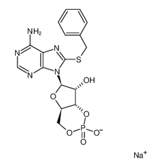 Picture of 8-BENZYLTHIOADENOSINE-3',5'-CYCLIC MONOPHOSPHATE SODIUM SALT