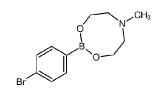 Picture of 4-BROMOBENZENEBORONIC ACID N-METHYLDIETHANOLAMINE ESTER