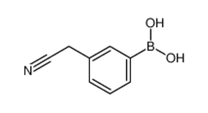 Show details for 3-Cyanomethylphenylboronic acid