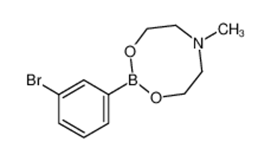Picture of 3-Bromobenzeneboronic Acid N-Methyldiethanolamine Ester