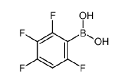 Show details for 2,3,4,6-TETRAFLUOROBENZENEBORONIC ACID
