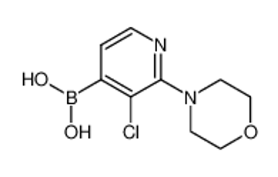 Picture of (3-chloro-2-morpholin-4-ylpyridin-4-yl)boronic acid