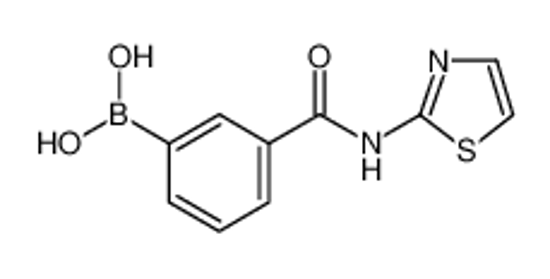Picture of (3-(Thiazol-2-ylcarbamoyl)phenyl)boronic acid