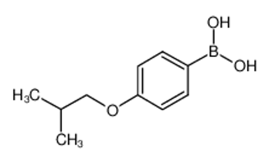 Picture of (4-Isobutoxyphenyl)boronic acid