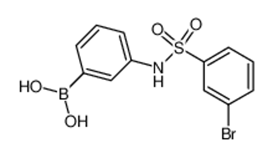 Picture of (3-(3-Bromophenylsulfonamido)phenyl)boronic acid