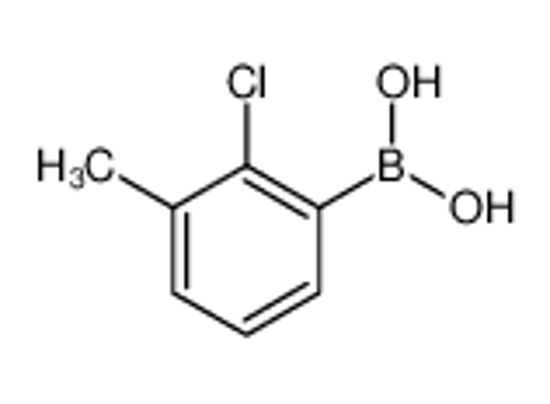 Picture of (2-Chloro-3-methylphenyl)boronic acid