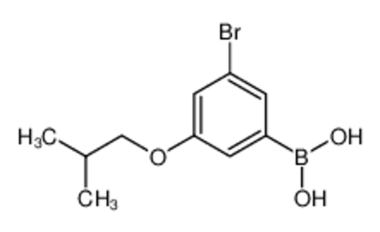 Picture of (3-Bromo-5-isobutoxyphenyl)boronic acid