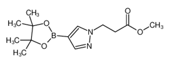 Picture of methyl 3-[4-(4,4,5,5-tetramethyl-1,3,2-dioxaborolan-2-yl)pyrazol-1-yl]propanoate