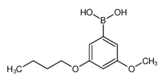 Picture of (3-Butoxy-5-methoxyphenyl)boronic acid