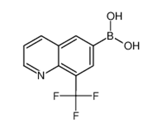 Picture of 8-Trifluoromethylquinoline-6-boronic acid
