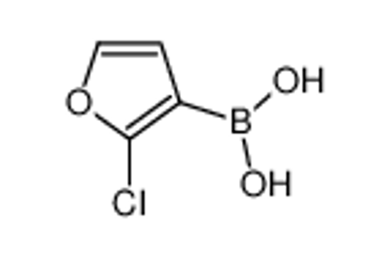Picture of (2-chlorofuran-3-yl)boronic acid