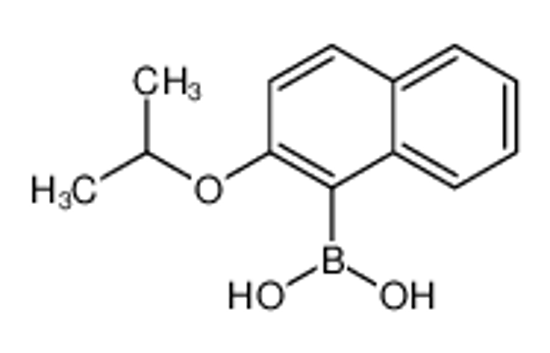 Picture of (2-Isopropoxy-1-naphthyl)boronic acid