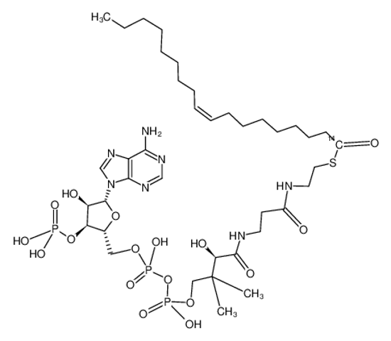 Picture of OLEOYL COENZYME A, [OLEOYL-1-14C]-