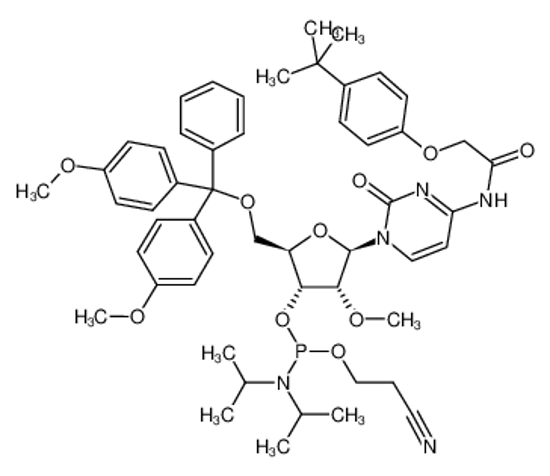 Picture of 5'-O-(4,4-Dimethoxytrityl)-N-[[4-(tert-butyl)phenoxy]acetyl]-2'-O-methylcytidine-3'-(2-cyanoethyl-N,N-diisopropyl)phosphoramidite