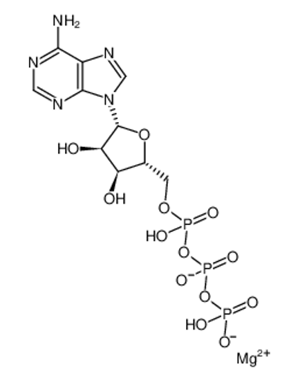 Picture of Adenosine 5'-(tetrahydrogen triphosphate) magnesium salt
