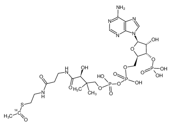 Picture of ACETYL COENZYME A, [ACETYL-1-14C]