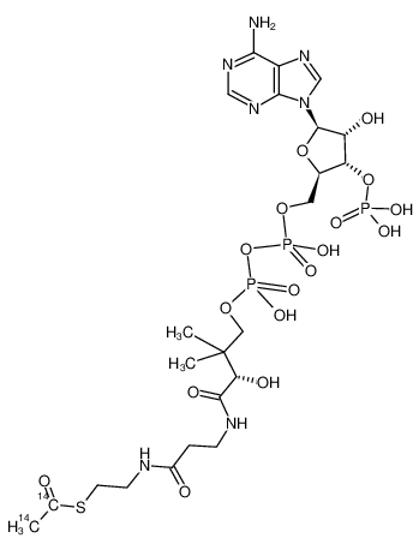 Picture of ACETYL COENZYME A, [ACETYL-1,2-14C]