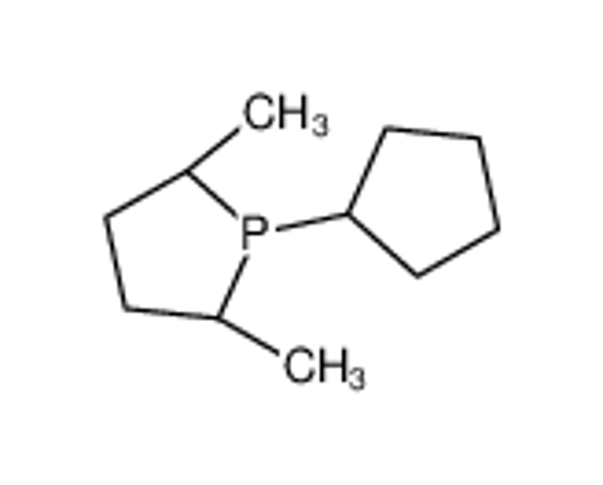 Picture of (2S,5S)-1-cyclopenta-2,4-dien-1-yl-2,5-dimethylphospholane,iron(2+)