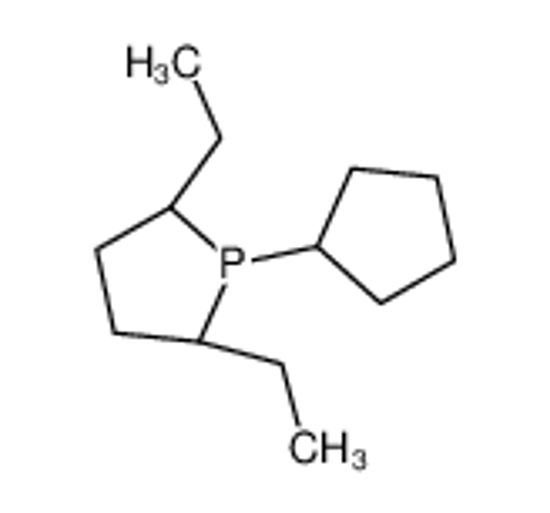 Picture of carbanide,(2S,5S)-1-cyclopentyl-2,5-diethylphospholane,iron(2+)