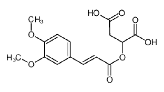 Picture of CAFFEOYLMALIC ACID